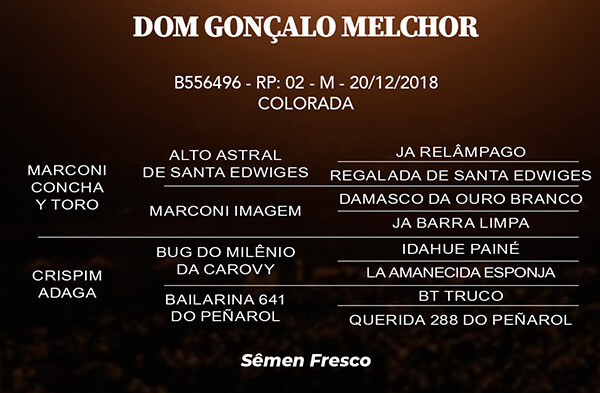 Geração DOM GONÇALO MELCHOR