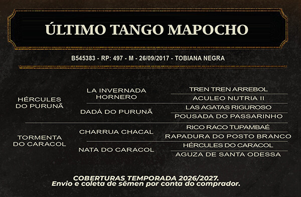 Geração ÚLTIMO TRAGO MAPOCHO
