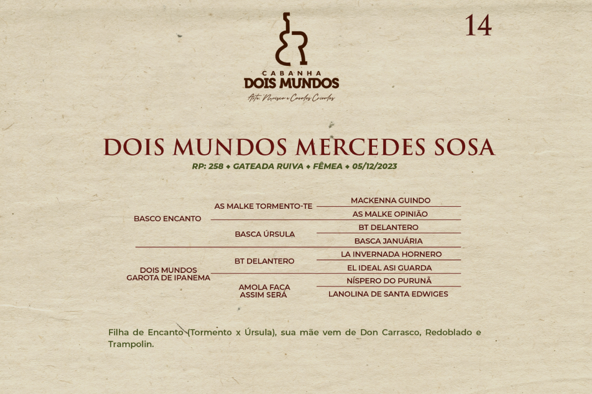 Geração DOIS MUNDOS MERCEDES SOSA