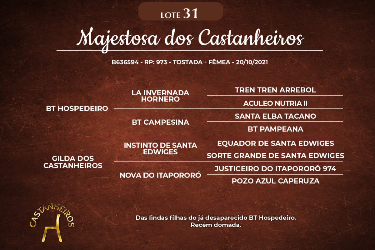 Geração MAJESTOSA DOS CASTANHEIROS