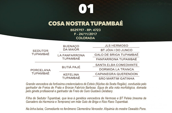 Geração COSA NOSTRA TUPAMBAÉ
