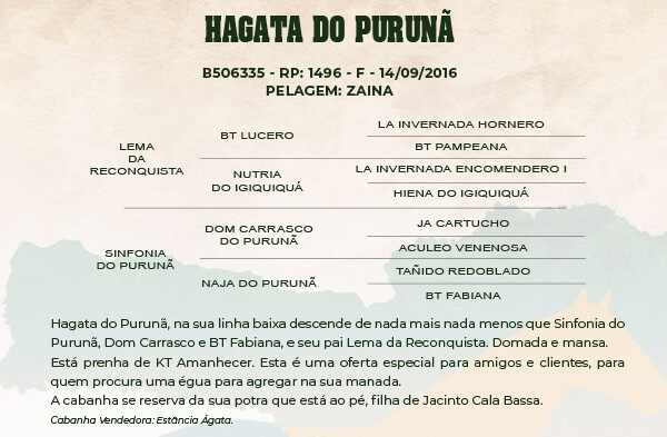 Geração HAGATA DO PURUNÃ
