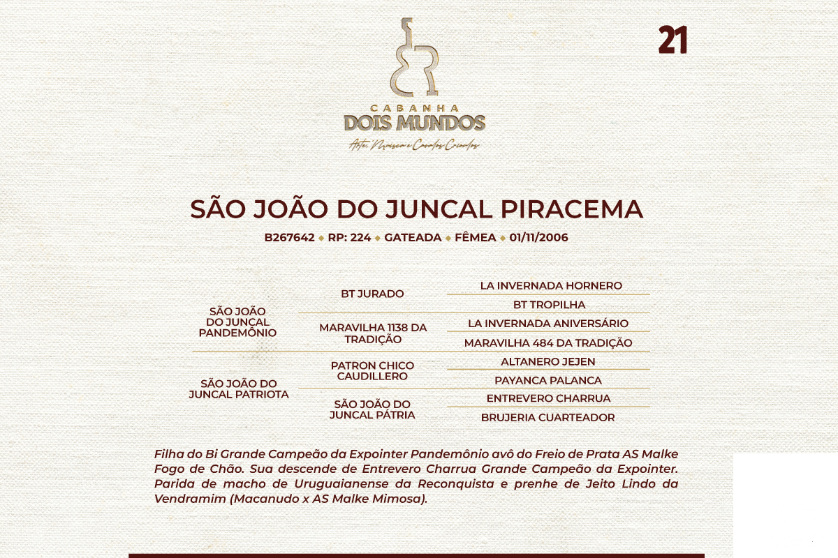 Geração SÃO JOÃO DO JUNCAL PIRACEMA