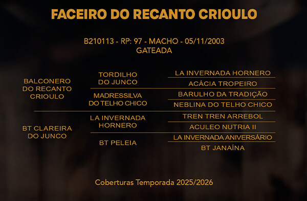 Geração FACEIRO DO RECANTO CRIOULO OU TRIUNFO DO PURUNA
