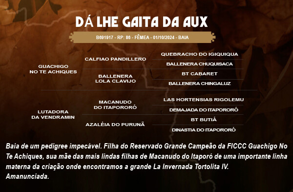 Geração DÁ LHE GAITA DA AUX