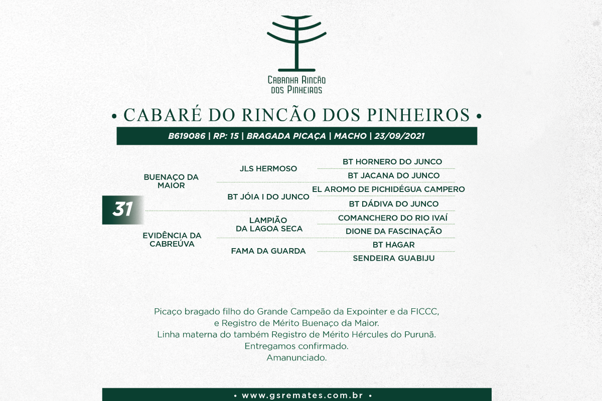 Geração CABARÉ DO RINCÃO DOS PINHEIROS