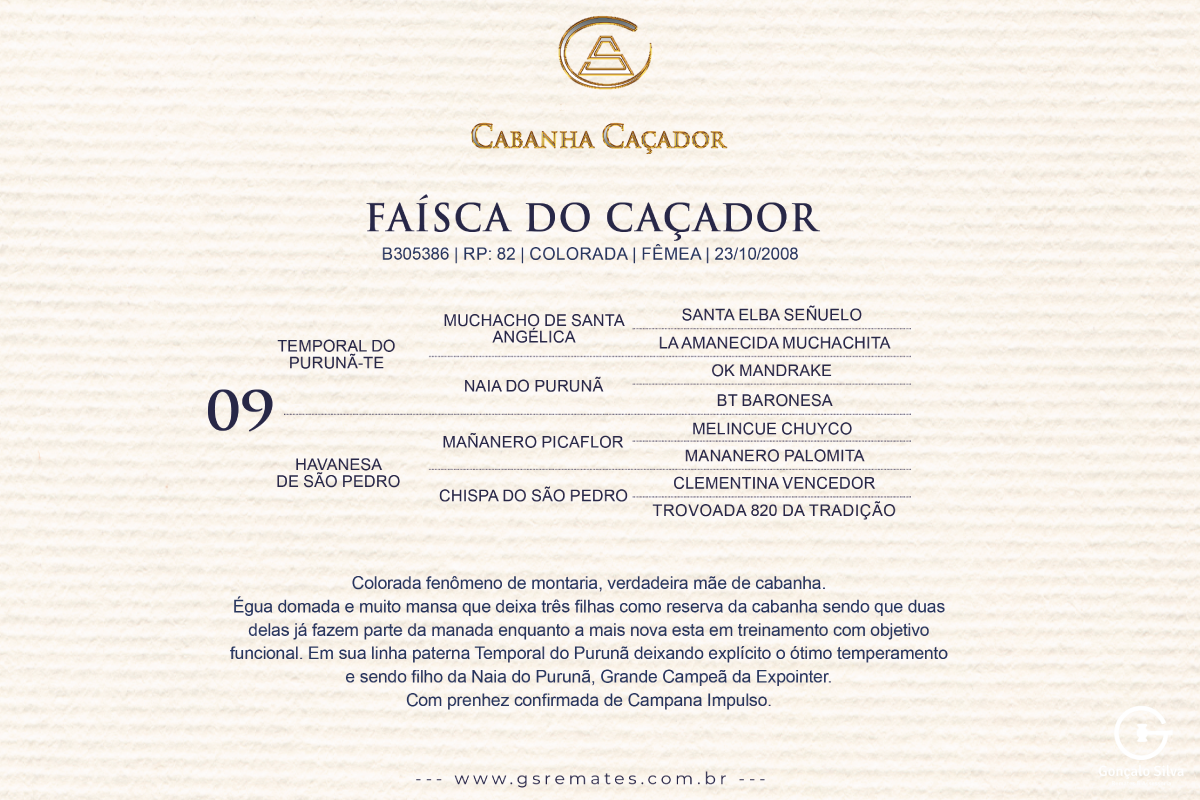 Geração FAISCA DO CAÇADOR 