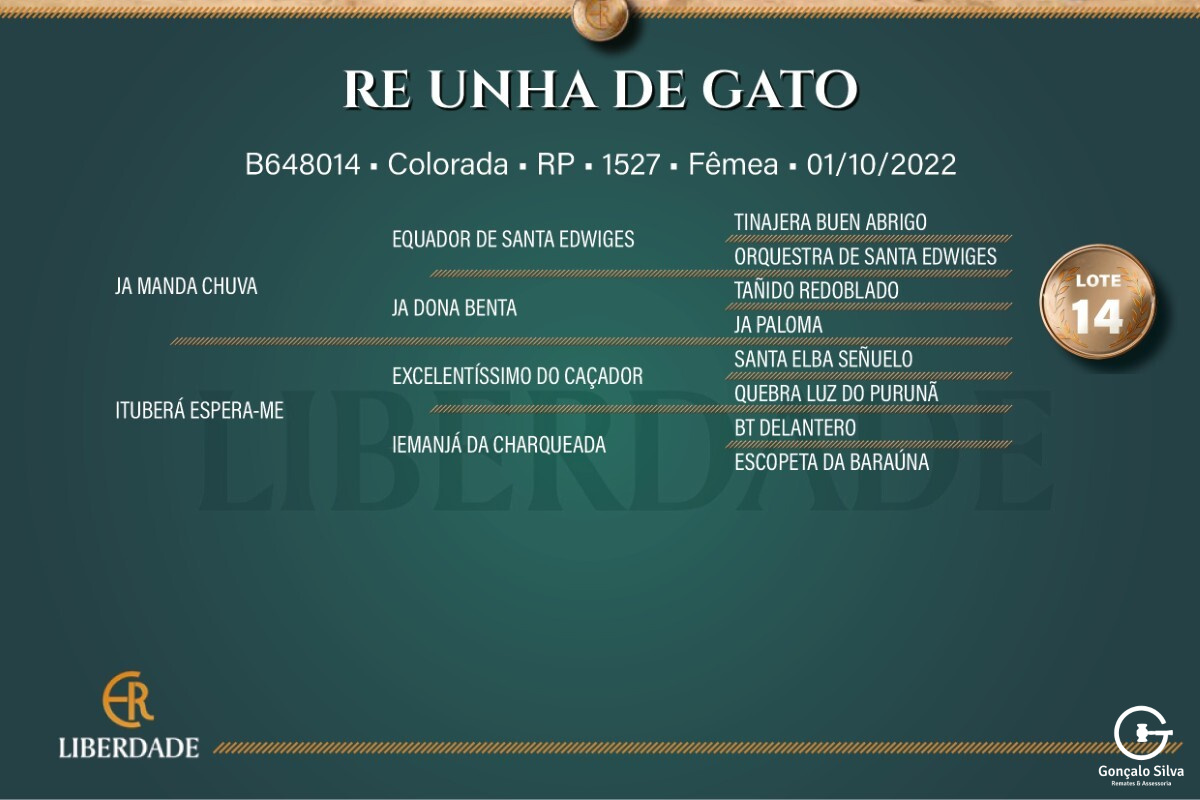 Geração RE UNHA DE GATO