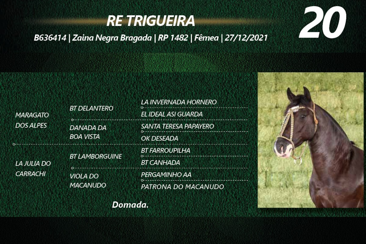 Geração RE TRIGUEIRA