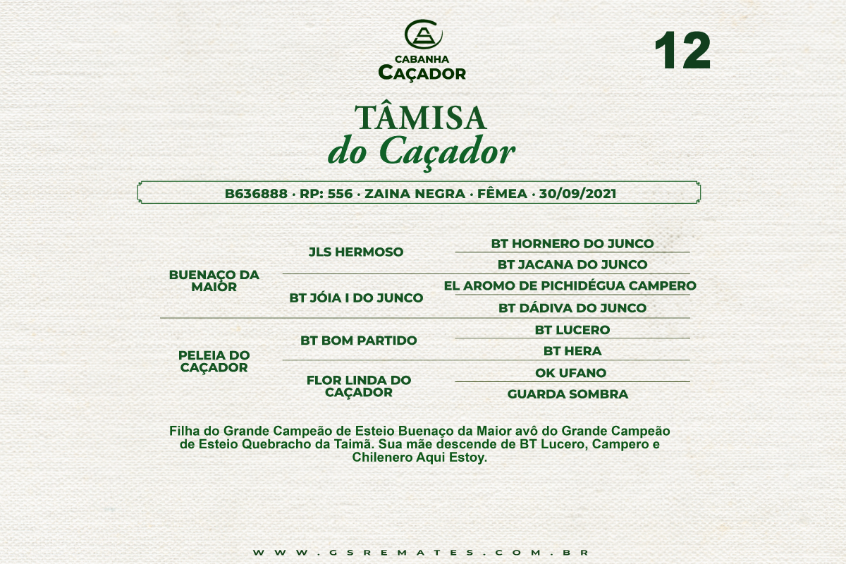 Geração TAMISA DO CAÇADOR 