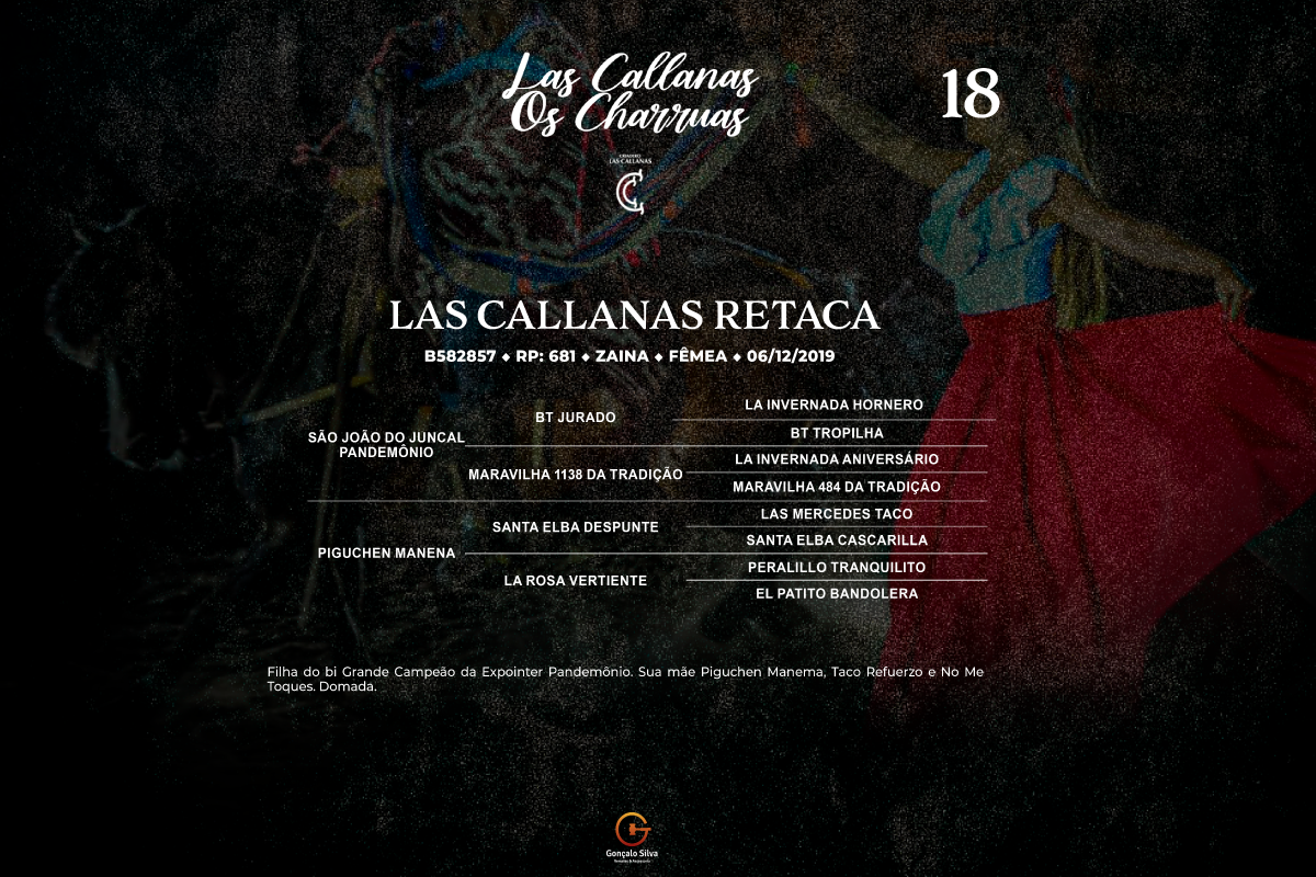 Geração LAS CALLANAS RETACA