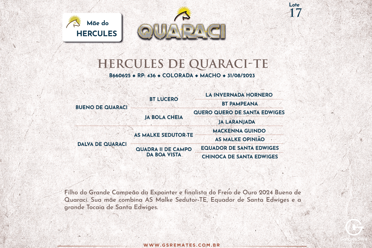 Geração HERCULES DE QUARACI-TE