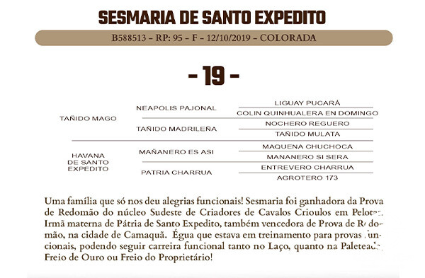 Geração SESMARIA DE SANTO EXPEDITO