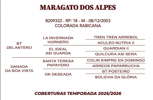 Geração MARAGATO DOS ALPES 