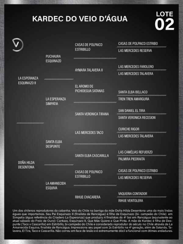 Geração KARDEC DO VEIO D'ÁGUA - COBERTURAS