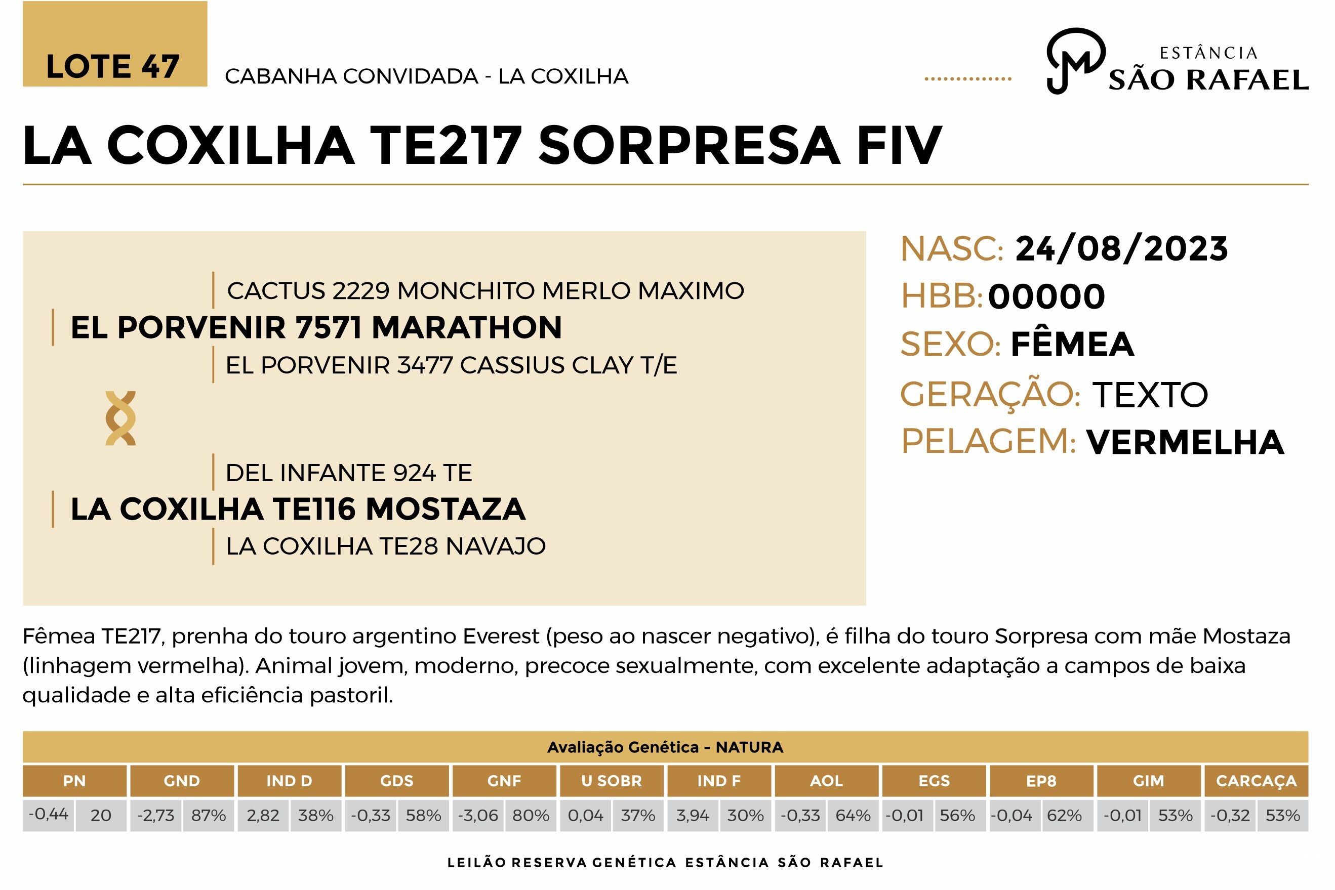 Geração LA COXILHA TE217 SORPRESA FIV