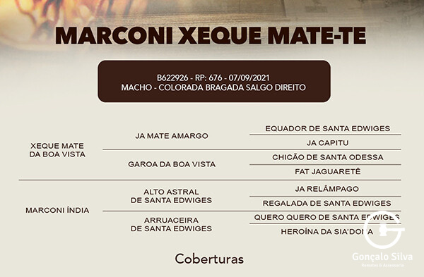 Geração COBERTURA MARCONI XEQUE MATE-TE