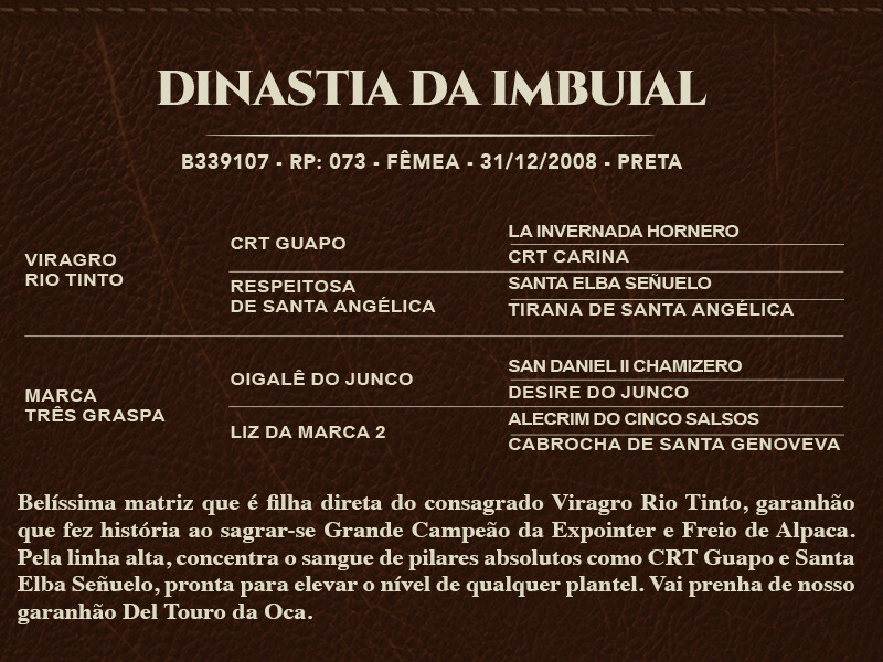Geração DINASTIA DO IMBUIAL
