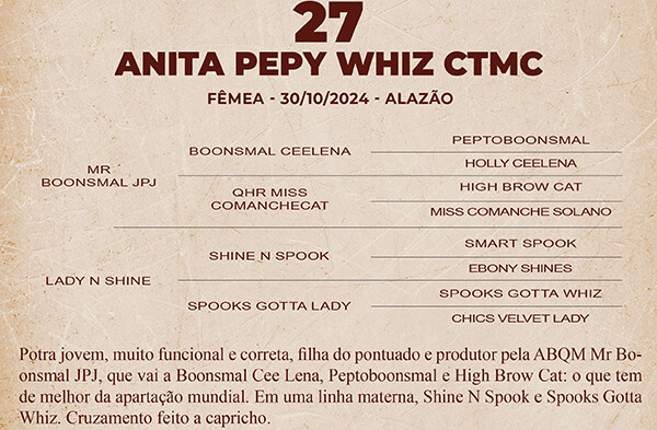 Geração ANITA PEPY WHIZ CTMC