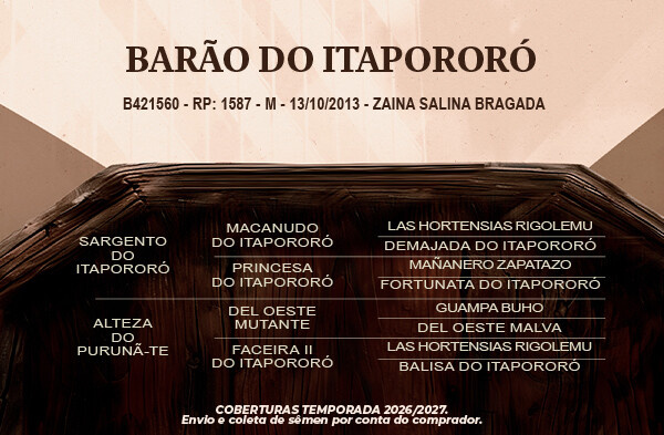 Geração Barão do Itapororó