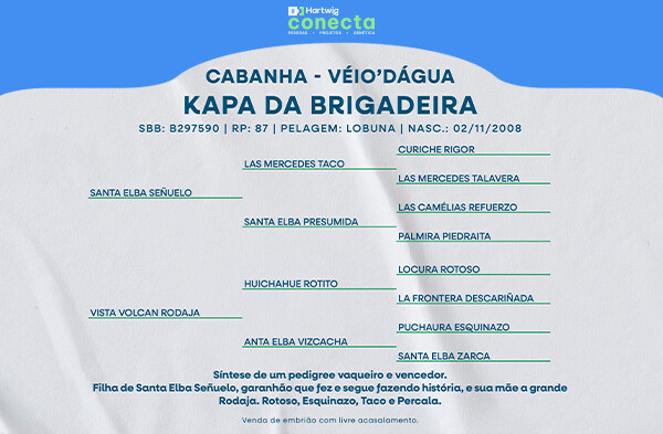 Geração KAPA DA BRIGADEIRA - (ELEIÇÃO DE EMBRIÃO)