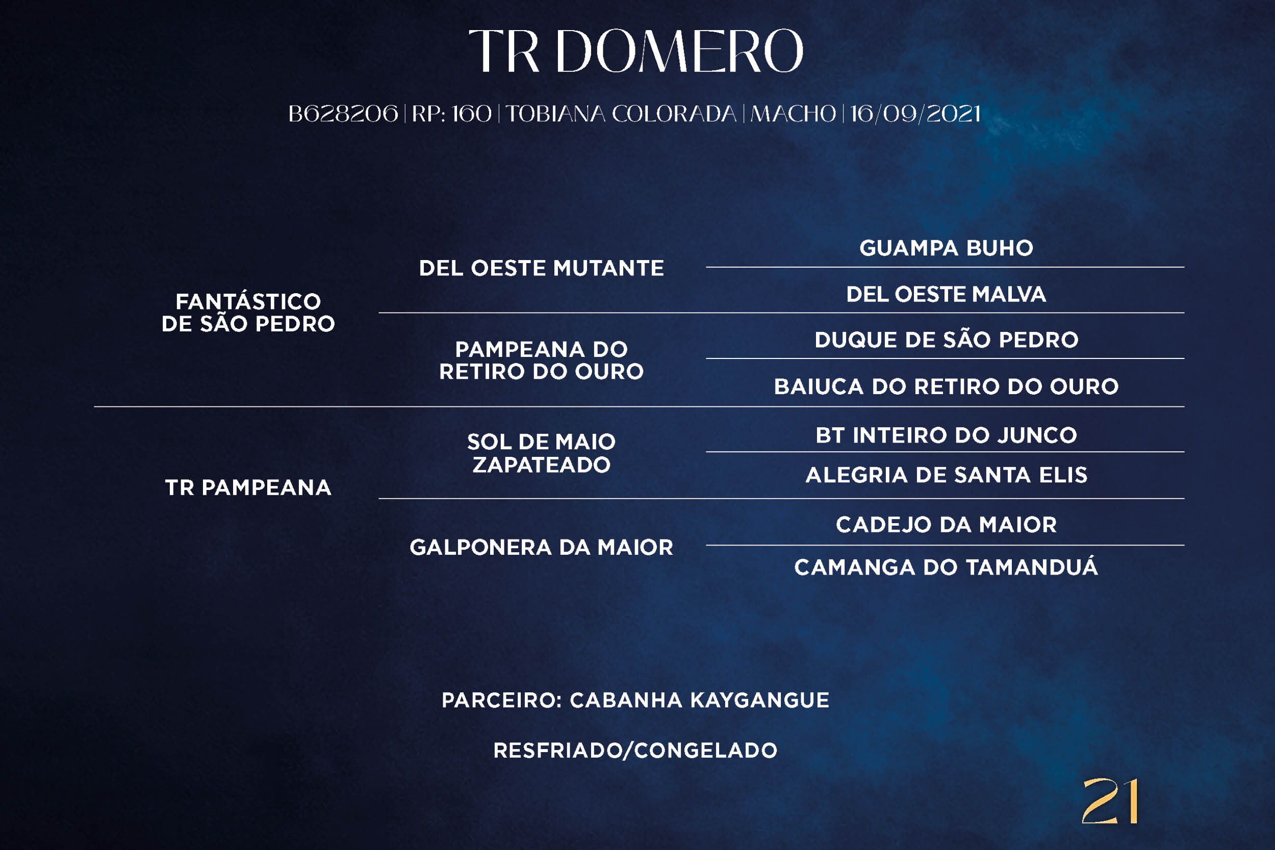 Geração TR DOMERO