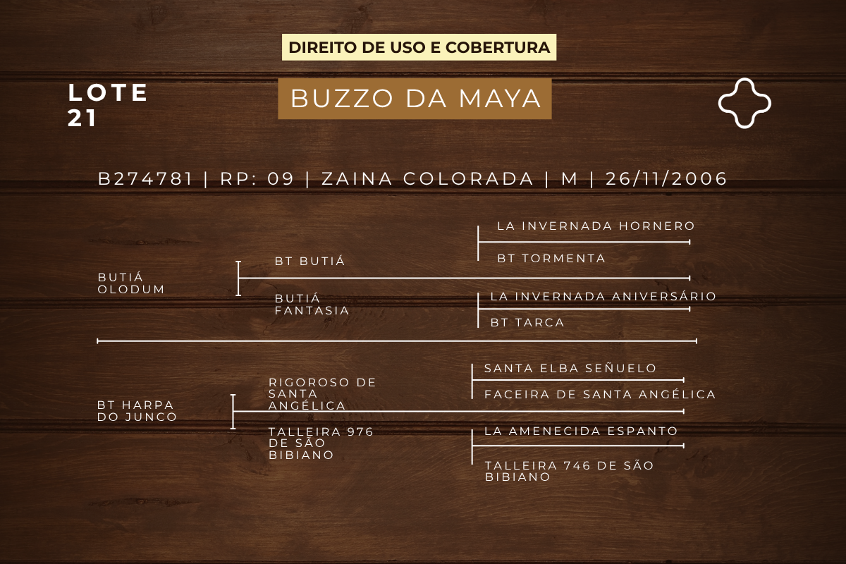 Geração DIREITO DE USO 5 COBERTURAS  BUZZO DA MAYA