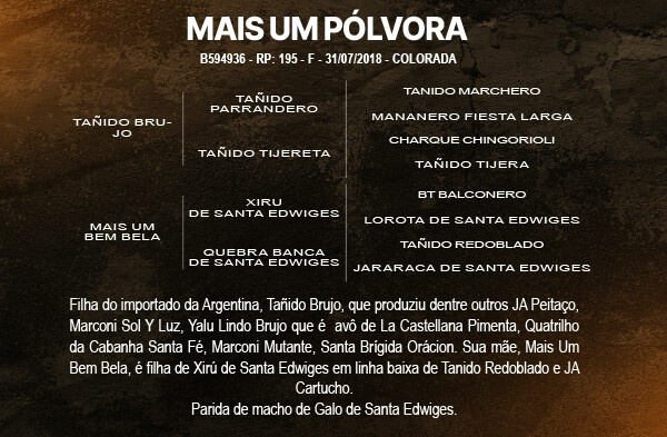 Geração MAIS UM PÓLVORA