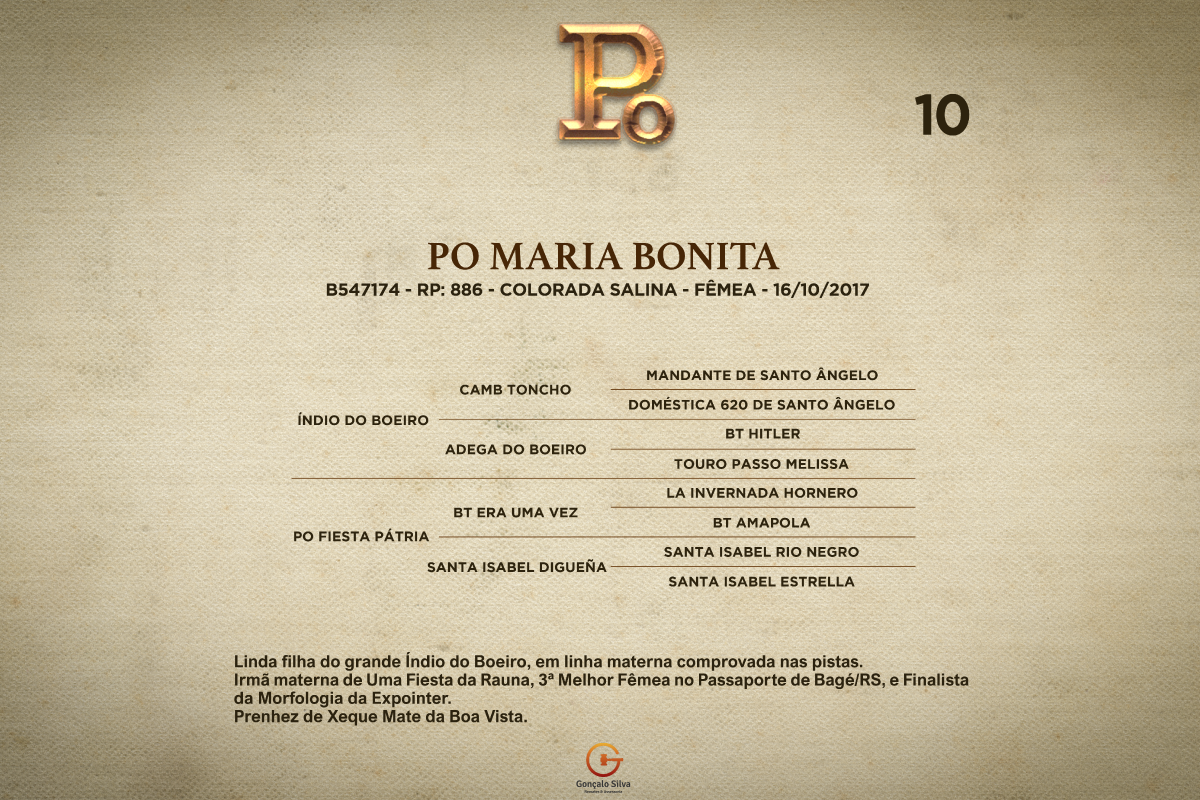 Geração PO MARIA BONITA