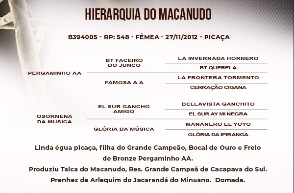 Geração HIERARQUIA DO MACANUDO