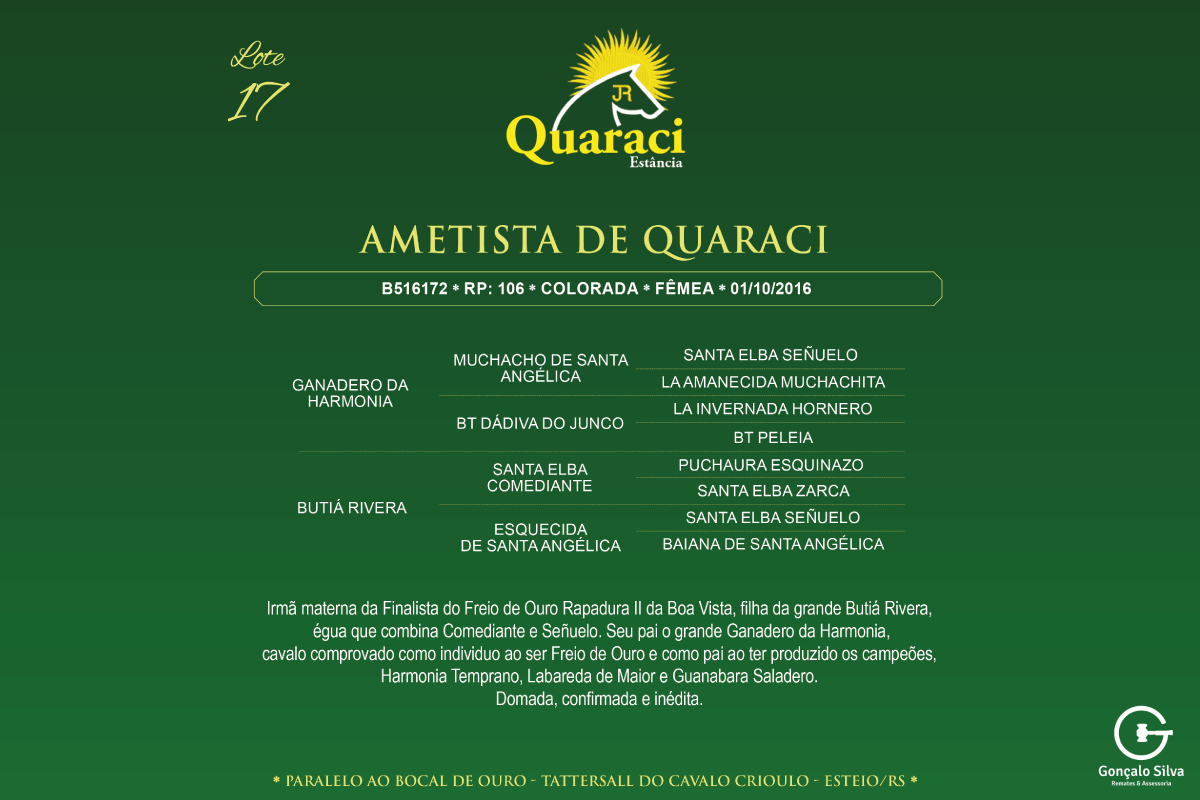 Geração AMETISTA DE QUARACI