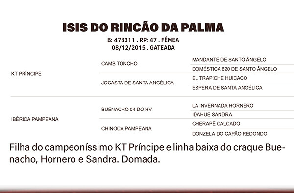 Geração ISIS DA RINÇÃO DA PALMA