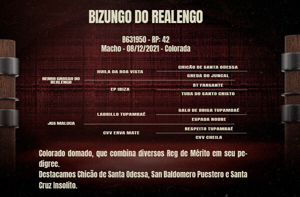 Geração BIZUBGO DO REALENGO