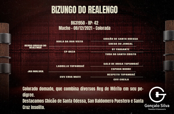 Geração BIZUNGO DO REALENGO