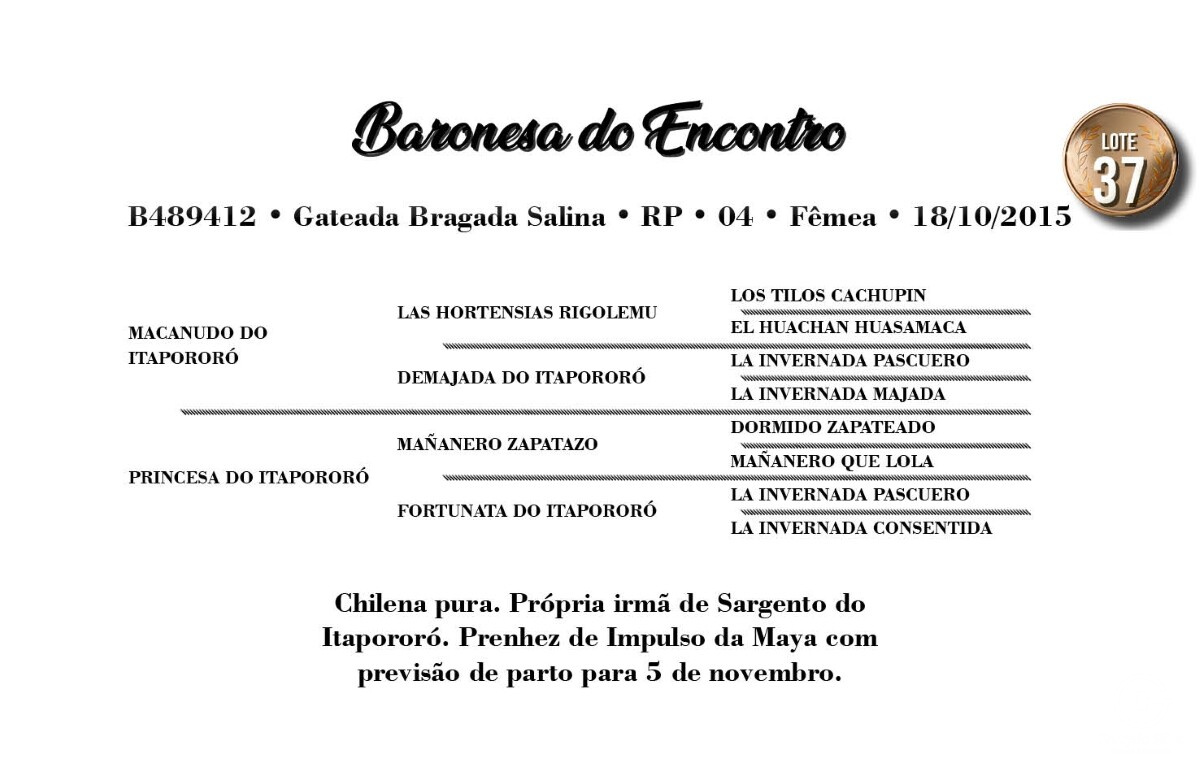 Geração BARONESA DO ENCONTRO
