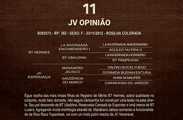 Geração JV OPINIÃO