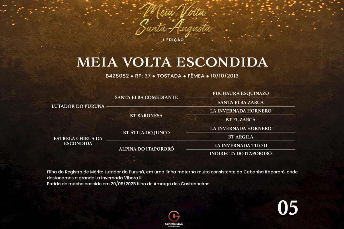 Geração MEIA VOLTA ESCONDIDA