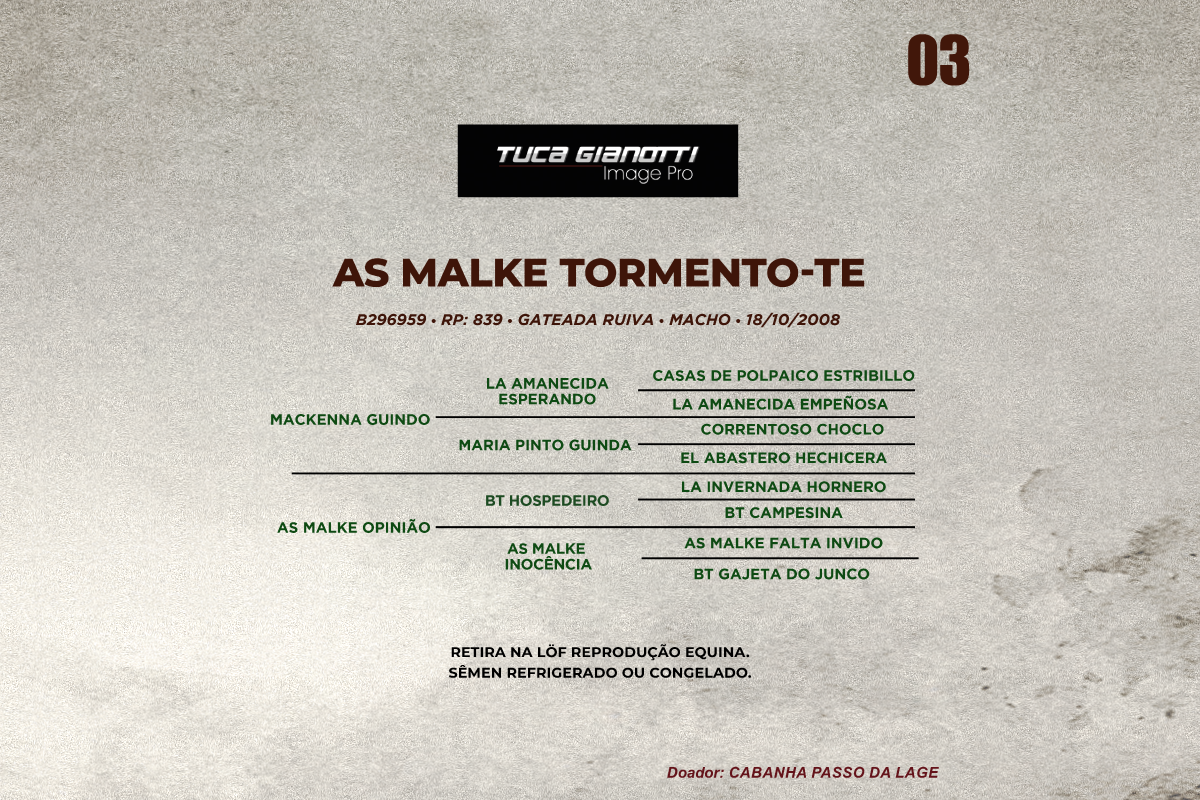 Geração AS MALKE TORMENTO - TE 