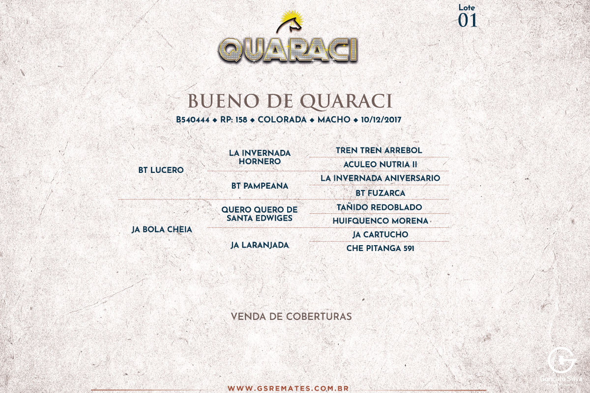 Geração BUENO DE QUARACI (COBERTURAS)