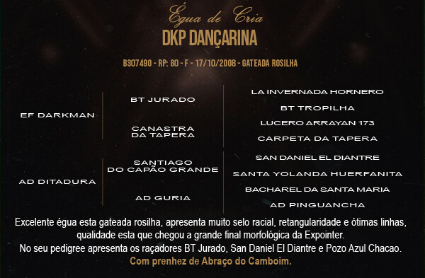 Geração DKP DANÇARINA