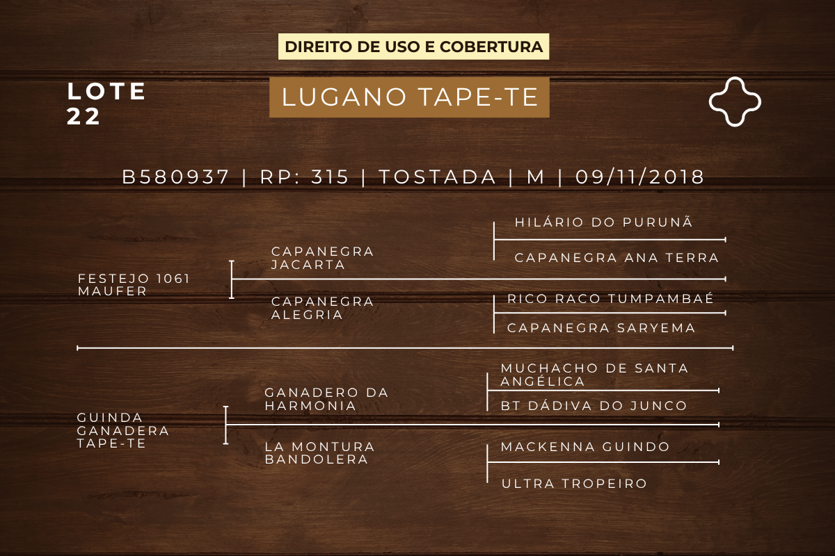 Geração DIREITO DE USO 5 COBERTURAS LUGANO TAPE - TE