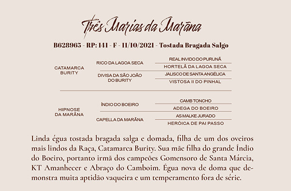Geração TRES MARIA DA MARAÑA