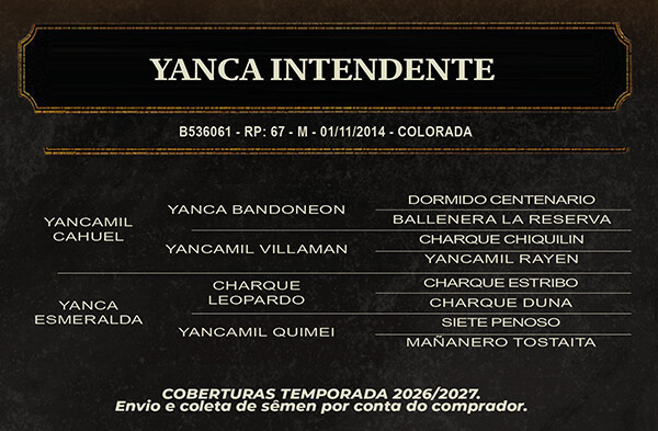 Geração YANCA INTENDENTE 