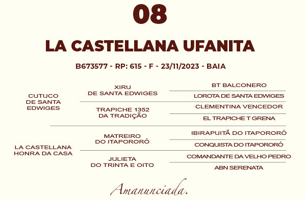 Geração LA CASTELLANA UFANITA