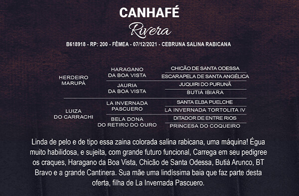 Geração CANHAFÉ RIVERA