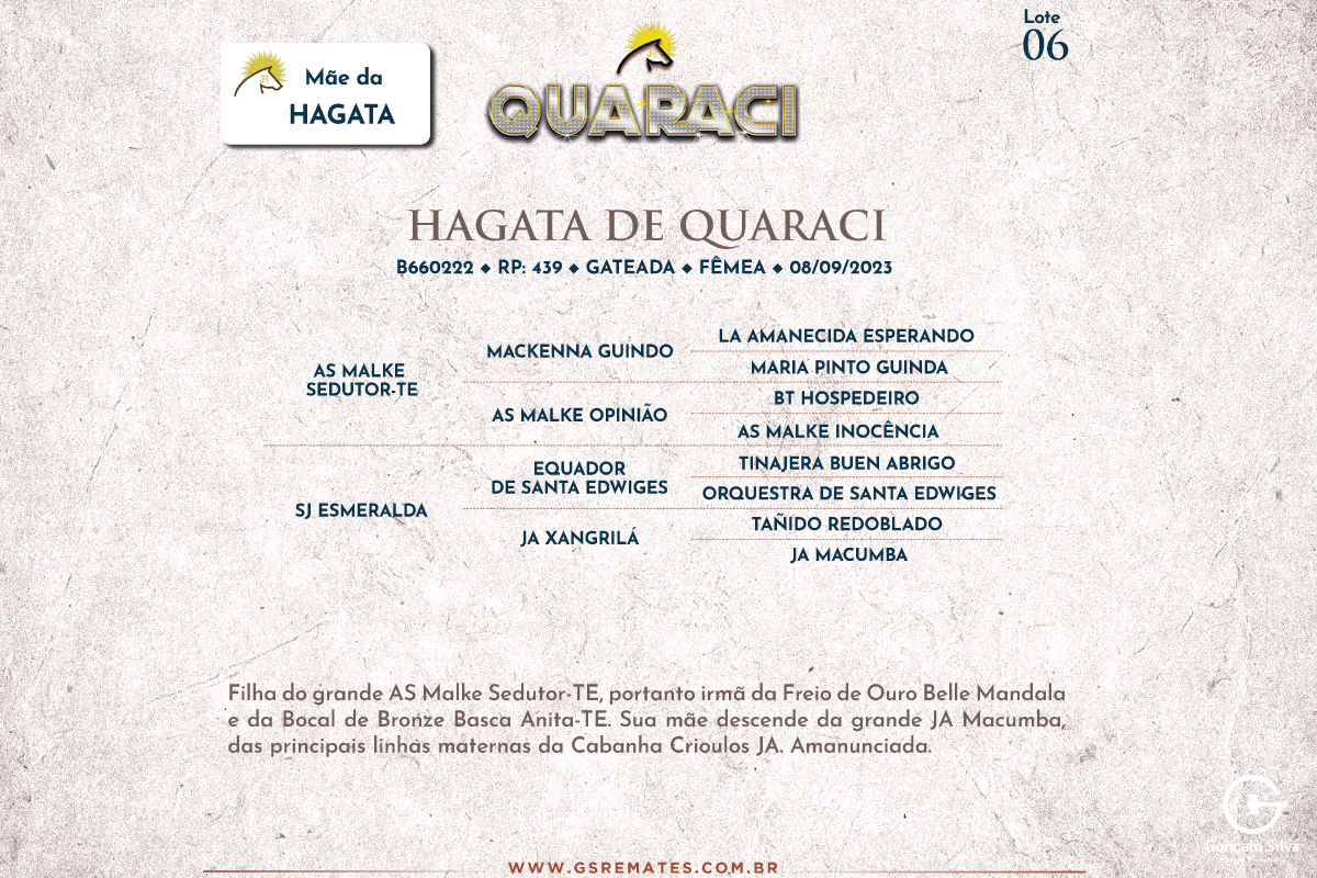 Geração HAGATA DE QUARACI