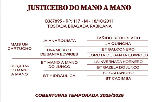 Geração JUSTICEIRO DO MANO A MANO 