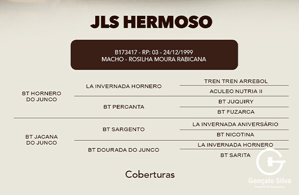 Geração COBERTURA JLS HERMOSO