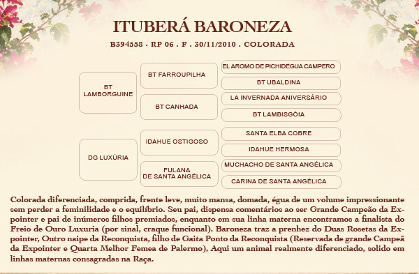 Geração ITUBERÁ BARONESA 