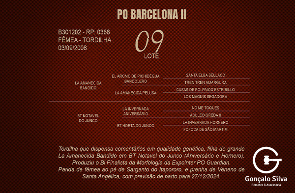 Geração PO BARCELONA II